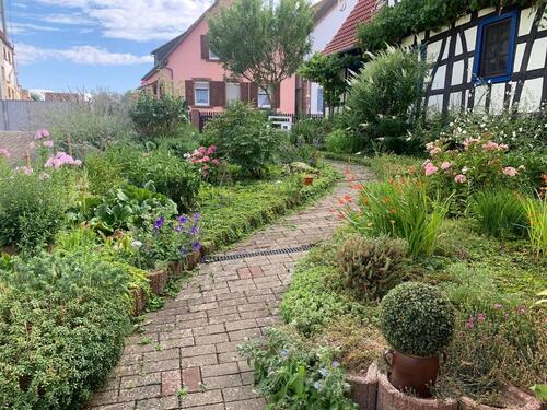 Foto - Etagenwohnung zur Miete in Steinweiler