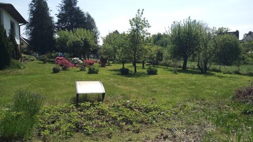 Foto - 6 Zimmer Einfamilienhaus zum Kaufen in Bad Sülze