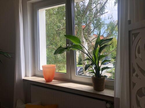 Foto - Etagenwohnung in Bremen zur Miete