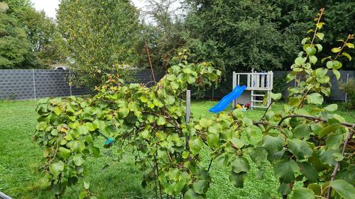 Foto - Einfamilienhaus in Lahr (Schwarzwald) zum Kaufen