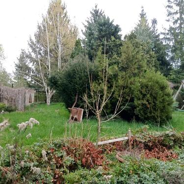 Foto - 14 Zimmer Einfamilienhaus in Görlitz