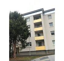 3 Zimmer Wohnung zu vermieten ab 01.01.2026 - Ludwigshafen am Rhein Ludwigshafen-Oggersheim