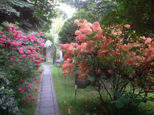 Foto - Einfamilienhaus in Herrnhut zum Kaufen