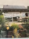 Foto - 2 Zimmer Einfamilienhaus in Oderberg