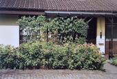 Foto - Einfamilienhaus in Obernburg am Main zum Kaufen