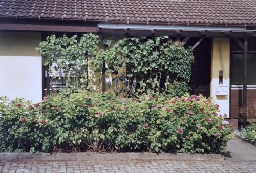 Foto - Einfamilienhaus in Obernburg am Main zum Kaufen