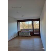 Erstbezug nach Renovierung | 2-Zimmer mit EBK und Balkon - Altensteig