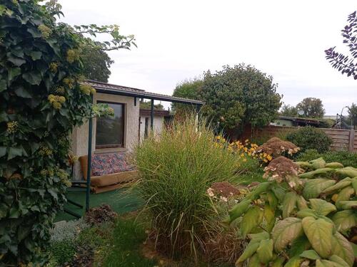 Foto - Pachtgarten Kleingarten Garten MagdeburgSudenburg