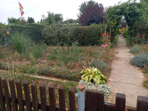 Foto - Grundst&uuml;ck in Magdeburg