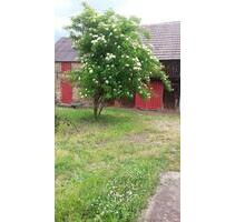 Dreiseiten Hof mit viel Land - 200.000,00&nbsp;EUR Kaufpreis, ca.&nbsp; 200,00&nbsp;m&sup2; in Bad Belzig (PLZ: 14806)
