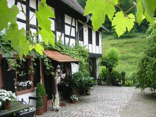 Foto - 5 Zimmer Etagenwohnung zur Miete in Weinheim