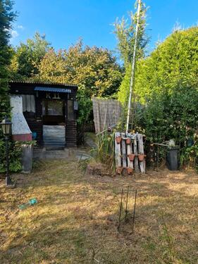 Foto - Einzigartiger Kleingarten mitten in Kiel im Naturschutzgebiet