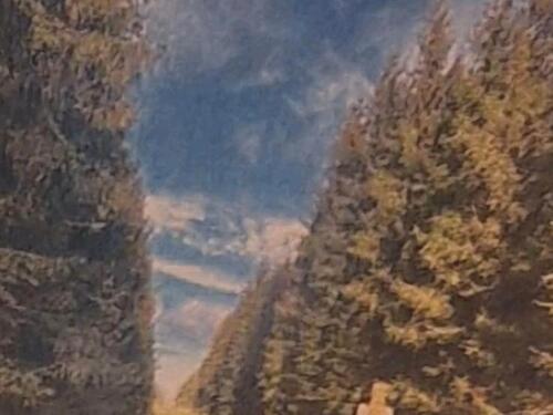 Foto - waldgrundstück - 31.720,00&nbsp;EUR Kaufpreis, ca.&nbsp; 0,00&nbsp;m&sup2;