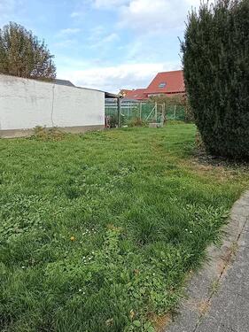 Foto - Einfamilienhaus in Moosthenning