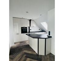 *Neu* exklusive 4-Raum-Wohnung mit Kamin, Klimaanlage, Dachterasse und vielen Extras - Cottbus Merzdorf