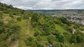 Foto - Zur Pacht: Obstwiese Freizeitgrundstück Stückle Gütle Garten