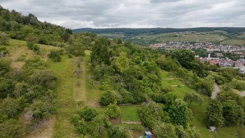 Foto - Zur Pacht: Obstwiese Freizeitgrundstück Stückle Gütle Garten