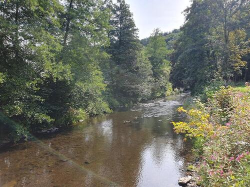 Foto - Einfamilienhaus in Thermalbad Wiesenbad