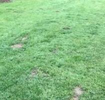 Garten von privat zu verpachten - Bad Karlshafen