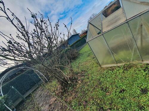 Foto - Grundstück in Willich zur Miete