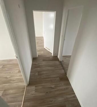 Foto - 3 Zimmer Etagenwohnung in Cottbus