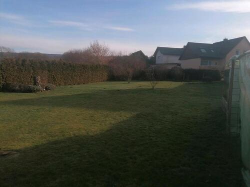 Foto - Mehrfamilienhaus, Wohnhaus in Boffzen zum Kaufen