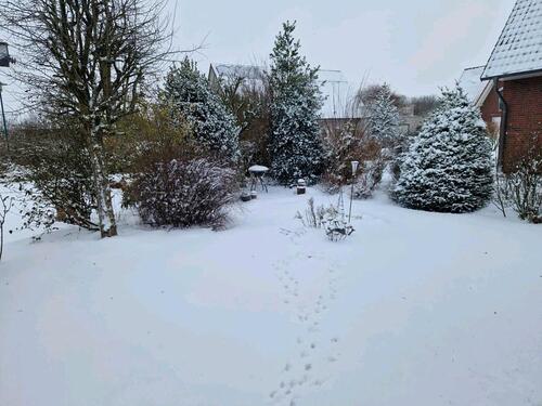 Foto - Bungalow in Goldenstedt zum Kaufen