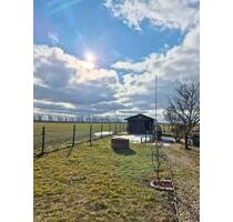 Garten in Queis Abzugen ab sofort Holzhaus - Wettin-Löbejün