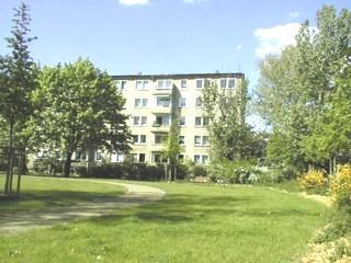 Foto - 2 Zimmer Etagenwohnung zur Miete in Cottbus