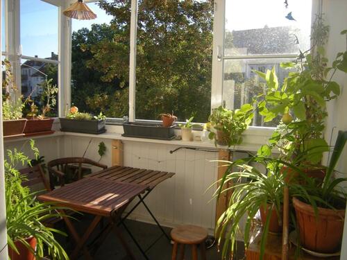 Foto - Etagenwohnung in Leipzig