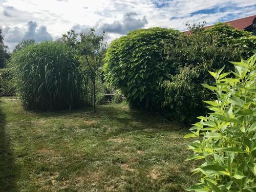 Foto - Einfamilienhaus in Königsbrück zum Kaufen
