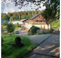 Wohnung in der Natur - 950,00&nbsp;EUR Kaltmiete, ca.&nbsp; 100,00&nbsp;m&sup2; in Katzwinkel (Sieg) (PLZ: 57581)