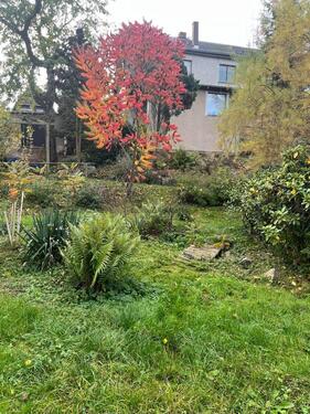 Foto - 4 Zimmer Doppelhaushälfte zum Kaufen in Zwickau