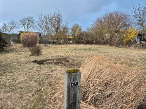 Foto - Grundst&uuml;ck zur Miete in Haldensleben