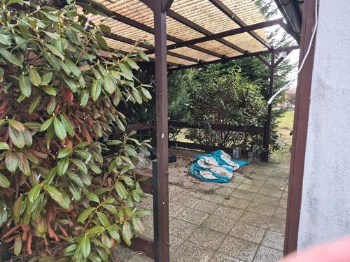 Foto - Grundst&uuml;ck in Haldensleben