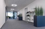 Foto - andere in Friedrichshafen