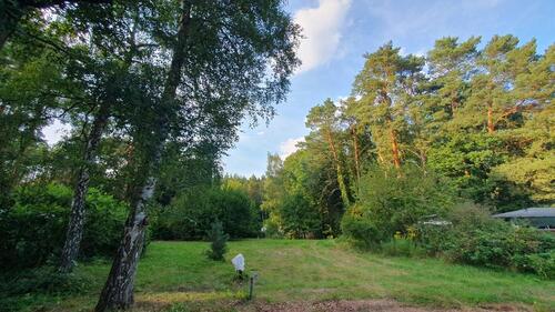 Foto - Ruhiges 330 m² Grundstück in Ferch (Schwielowsee) zur Pacht