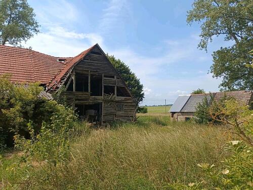 Foto - Bauernhaus, Landhaus in Domsühl zum Kaufen