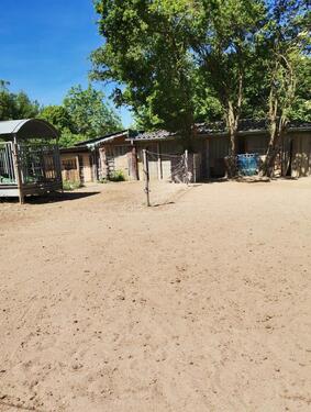 Foto - Offenstallanlage mit Reitwiese (o. Trail) u. kleine Koppel