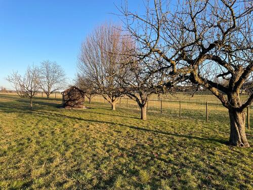 Foto - Grundst&uuml;ck zur Miete in Wendlingen am Neckar