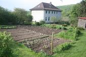 Foto - 8 Zimmer Mehrfamilienhaus, Wohnhaus zum Kaufen in Bodenfelde