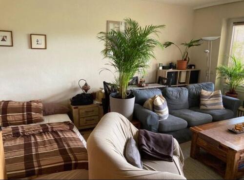 Foto - 1 Zimmer Etagenwohnung in Rodgau