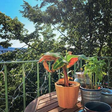 Foto - 2 Zimmer Etagenwohnung zum Kaufen in Berlin