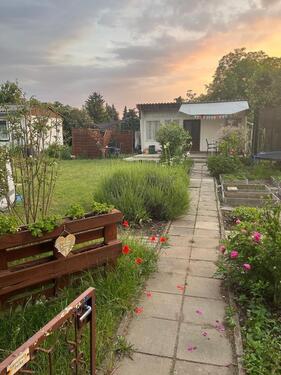 Foto - Pachtgarten schönste Lage in Stadtfeld an der Schrote