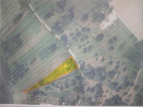 Foto - Freizeitgrundstück mit Terrasse u. Obstbäumen Stückle Wiese