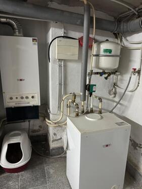 Foto - Reihenhaus in Worms zum Kaufen