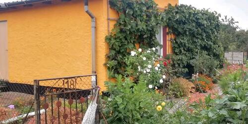 Foto - Garten Kleingarten Brandenburg Berlin