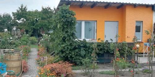 Foto - Grundstück zur Miete in Schwedt (Oder)