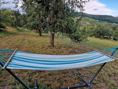 Foto - Grundstück (Wiese) mit kleinem Häuschen zum Pachten