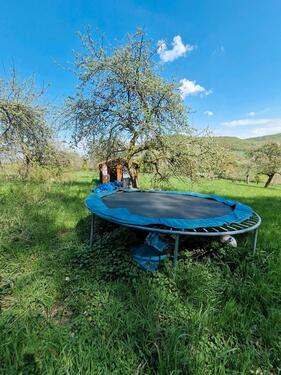 Foto - Grundst&uuml;ck in Adelsheim
